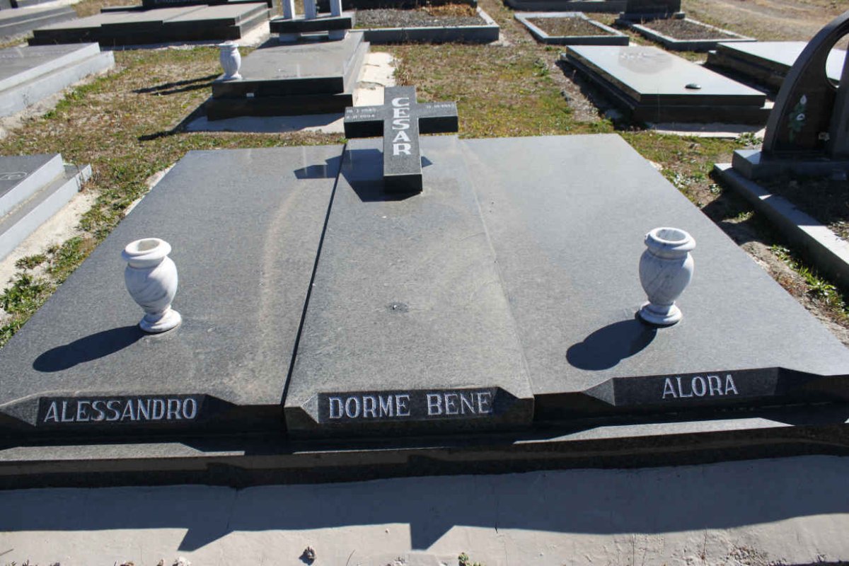 CESAR Allesandro 1945-1994 :: CESAR Alora 1953- _1