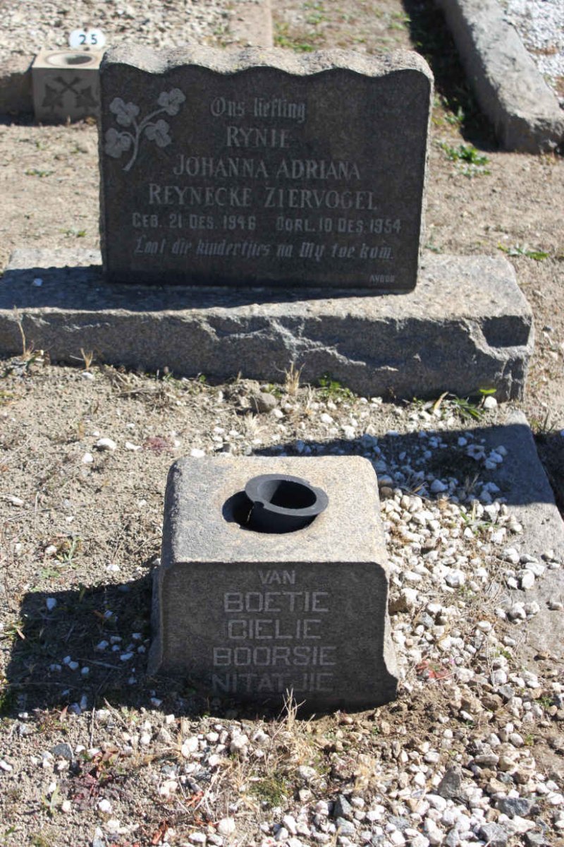 ZIERVOGEL Johanna Adriana Reynecke 1946-1954