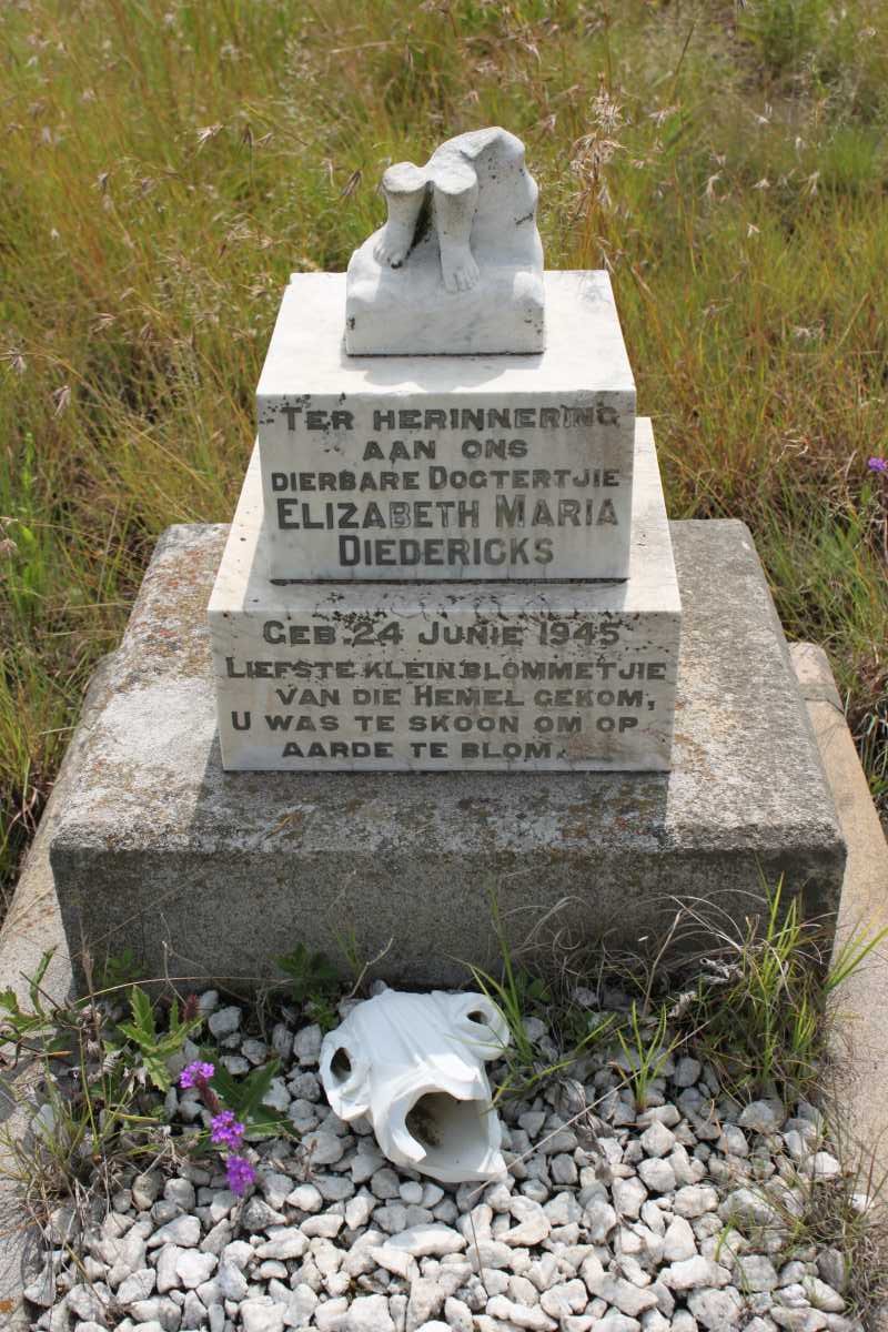 DIEDERICKS Elizabeth Maria 1945-