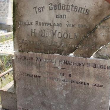 MOOLMAN H.J.