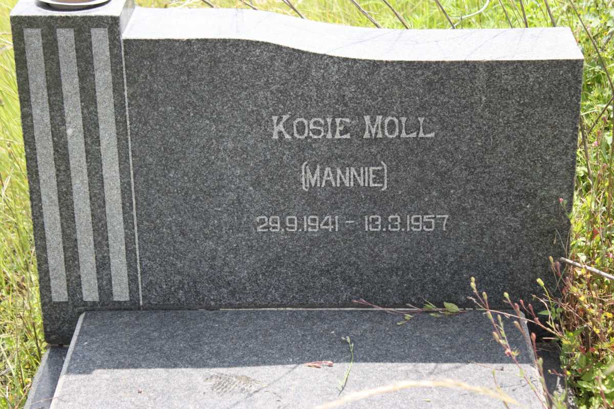 MOLL Kosie 1941-1957