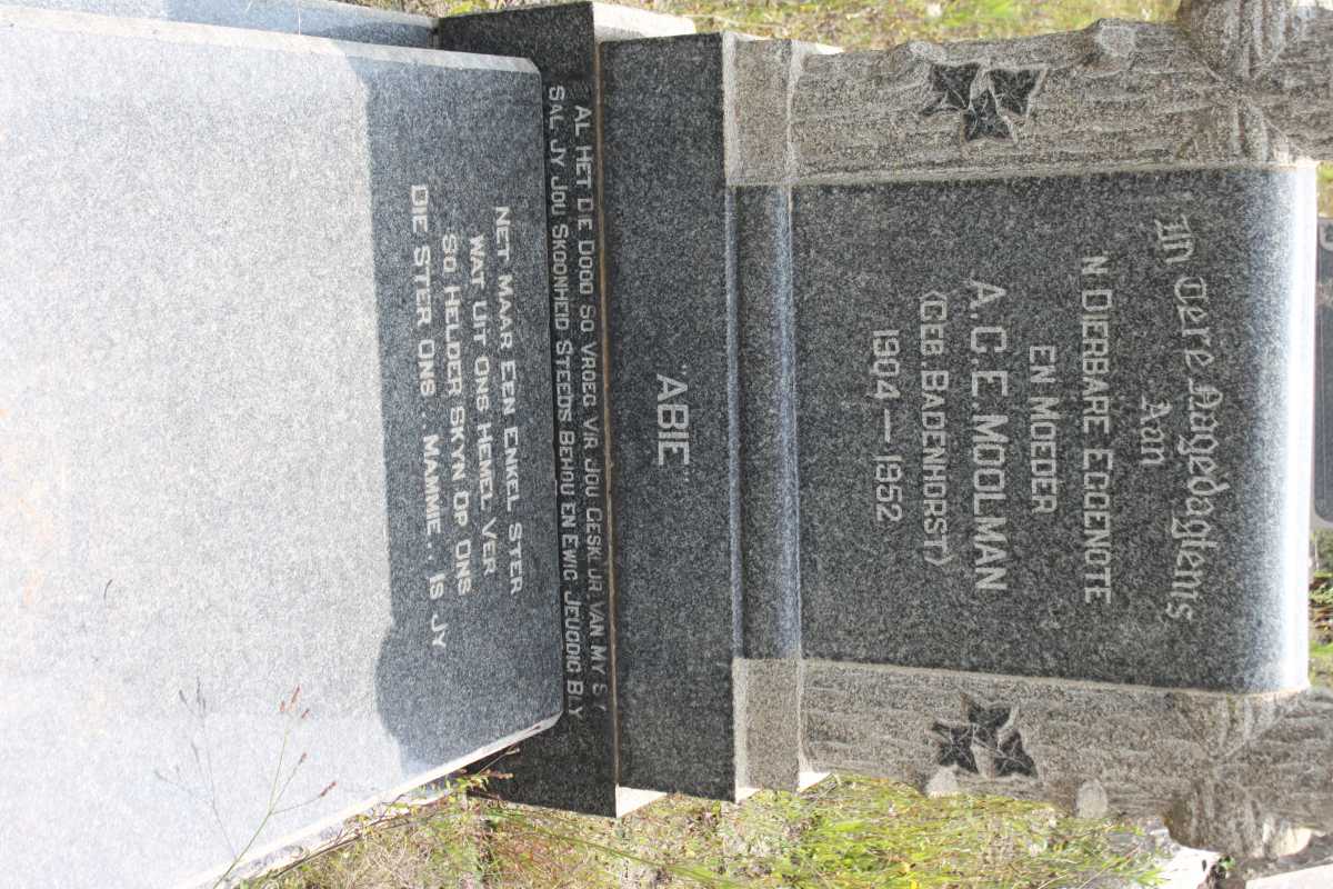 MOOLMAN A.C.E. geb BADENHORST 1904-1952