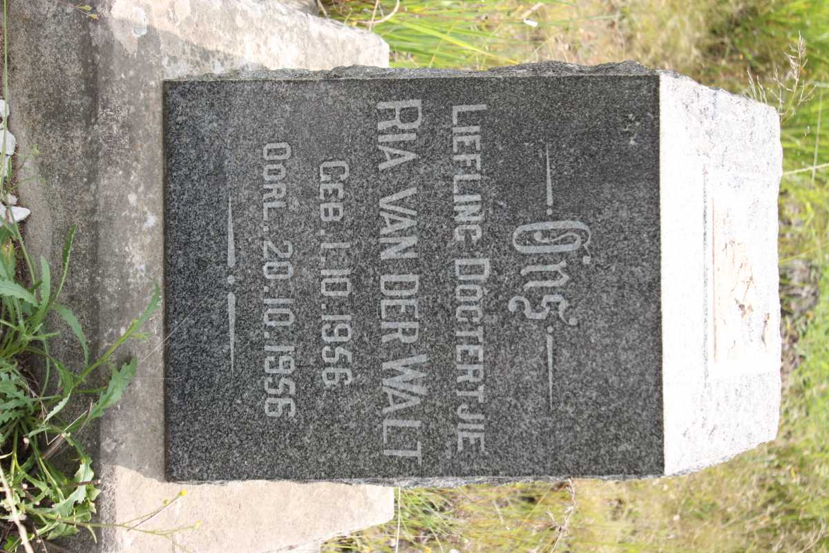 WALT Ria, van der 1956-1956