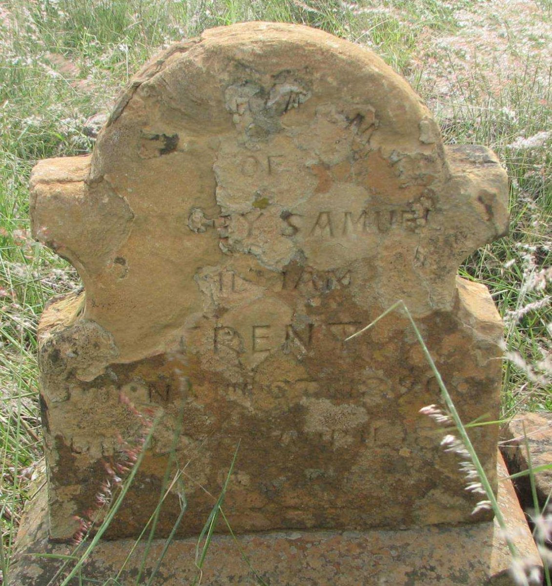 TRENT Sidney Samuel 1863-1921