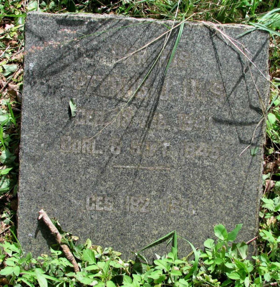 ? Petrus 1941-1945