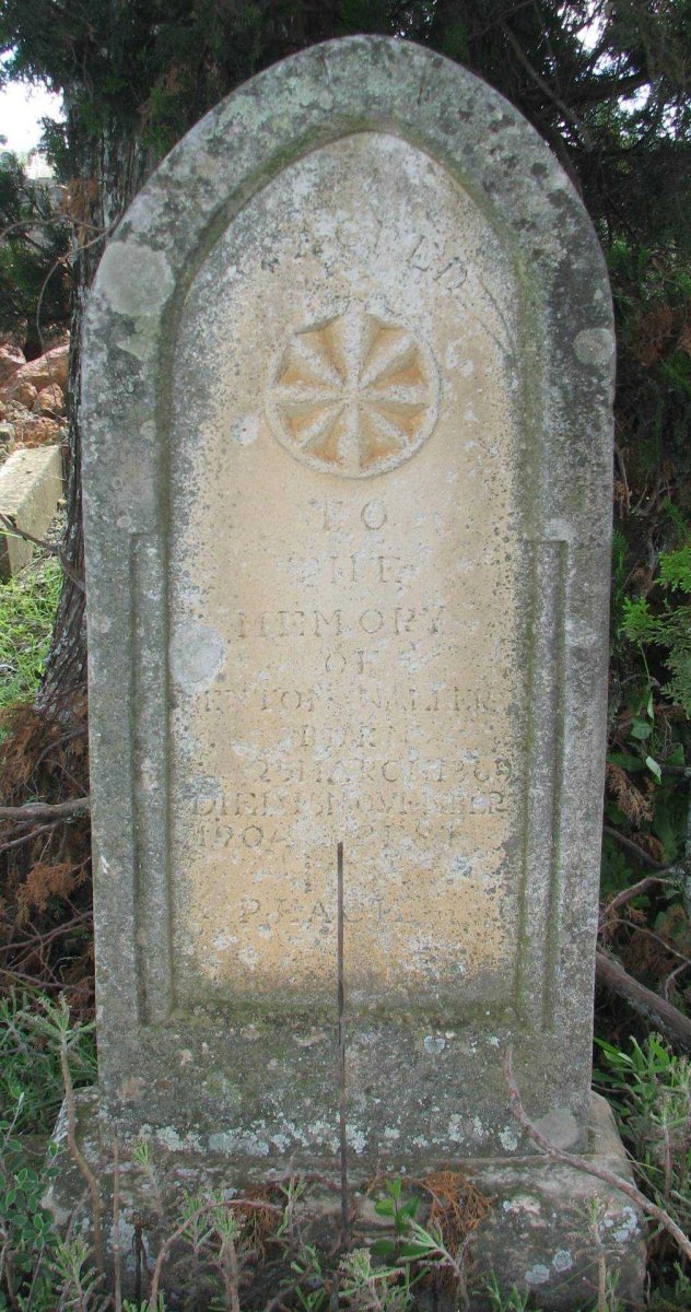 WALTER Kenton 1869-1904