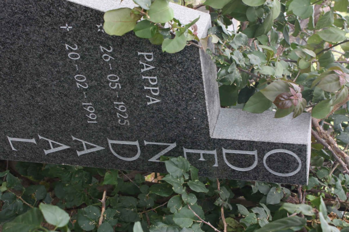 ODENDAAL Pappa 1925-1991