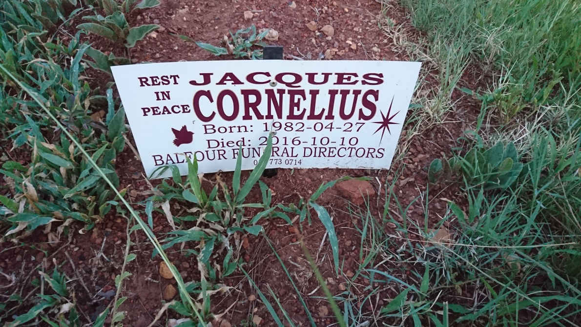 CORNELIUS Jacques 1982-2016