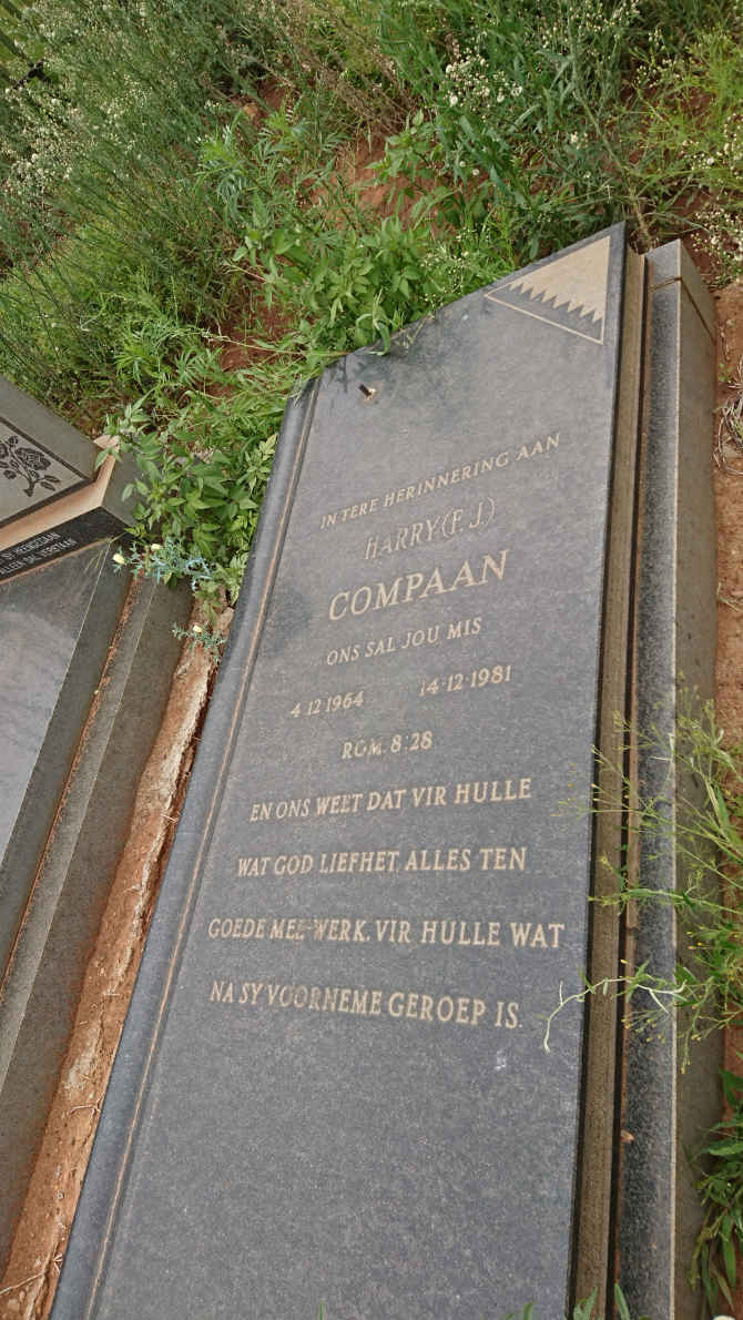 COMPAAN F.J. 1964-1981