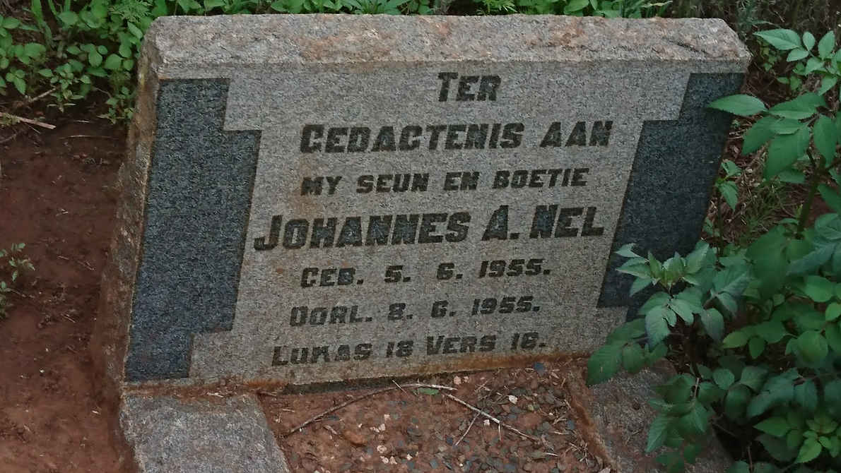 NEL Johannes A. 1955-1955