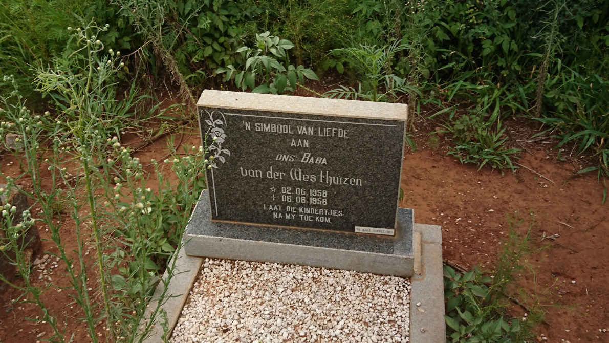WESTHUIZEN, van der 1958-1958