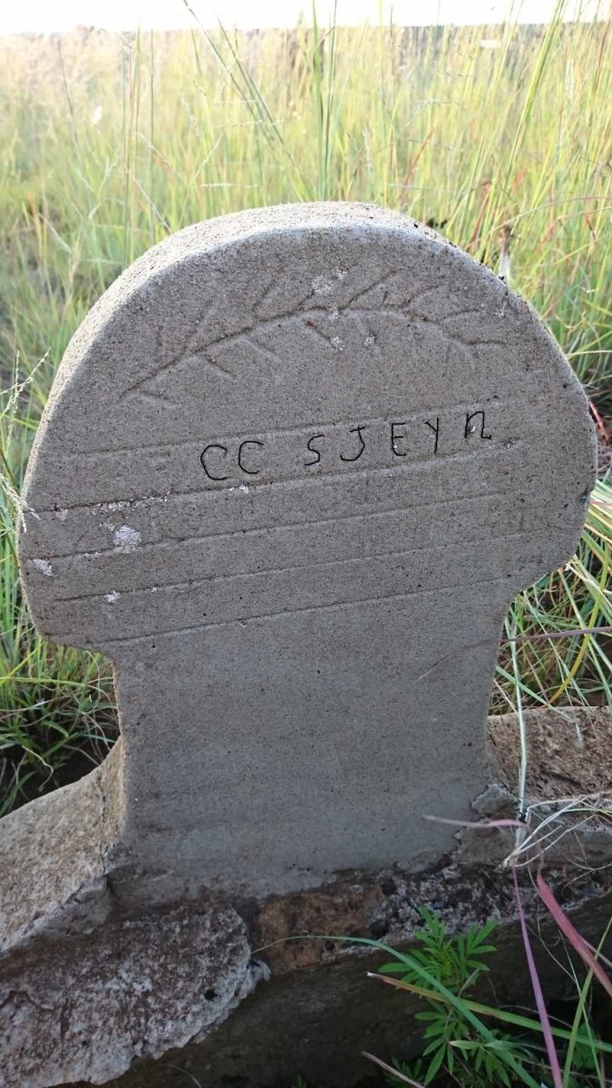 STEYN C.C.