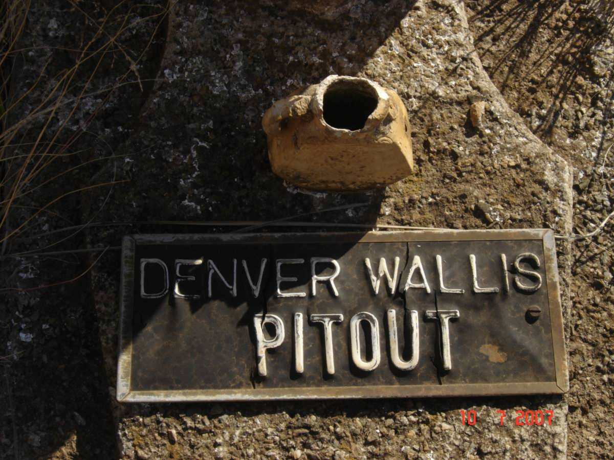 PITOUT Denver Wallis