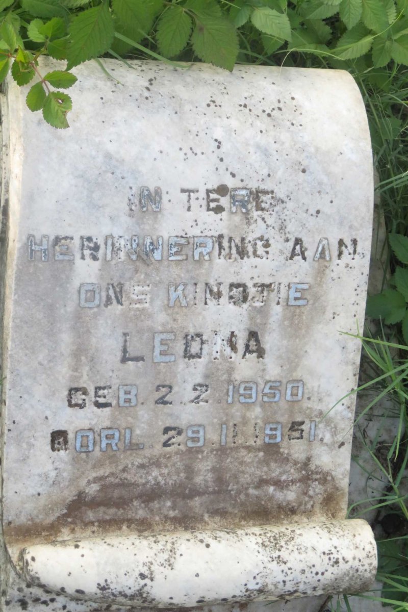 ? Leona 1950-1951
