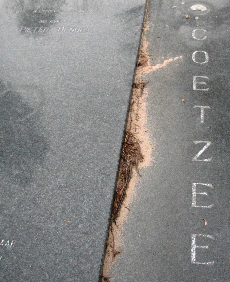 COETZEE Tobias Johannes 1935-2009 &amp; Catharina 1942- :: COETZEE Pieter Hendrik
