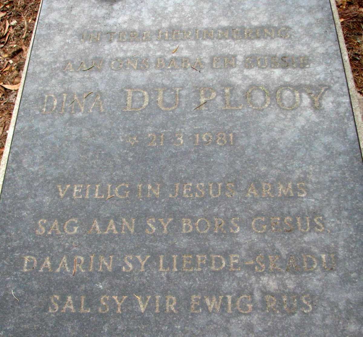 PLOOY Dina, du 1981-1981