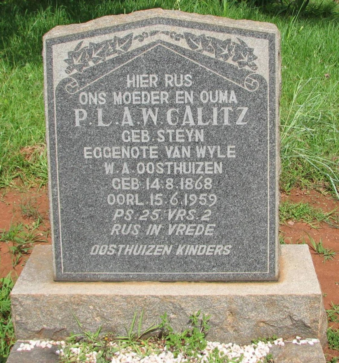 CALITZ P.L.A.W. formerly OOSTHUIZEN nee STEYN 1868-1959