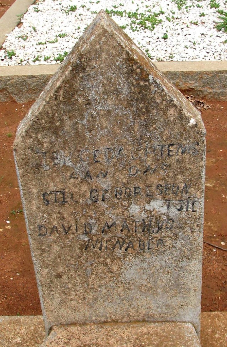 NIENABER David Mathys