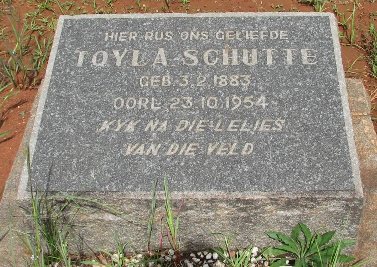 SCHUTTE Toyla 1883-1954