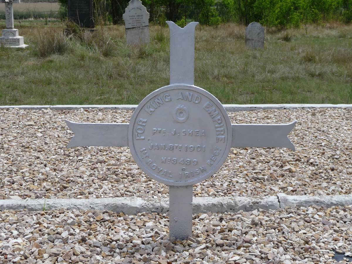 SHEA J.  -1901