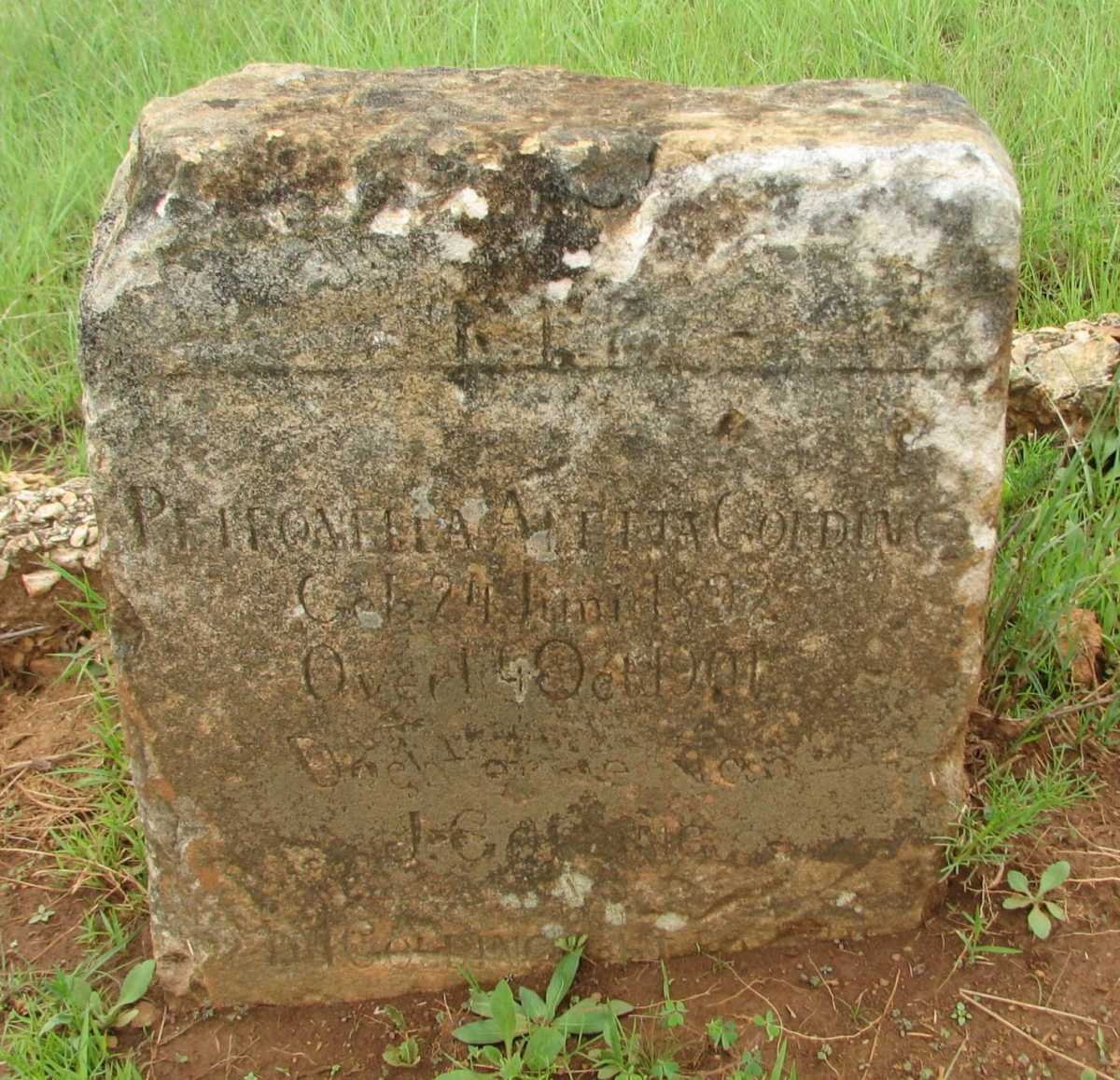 GOLDING Petronella Aletta 1892-1901