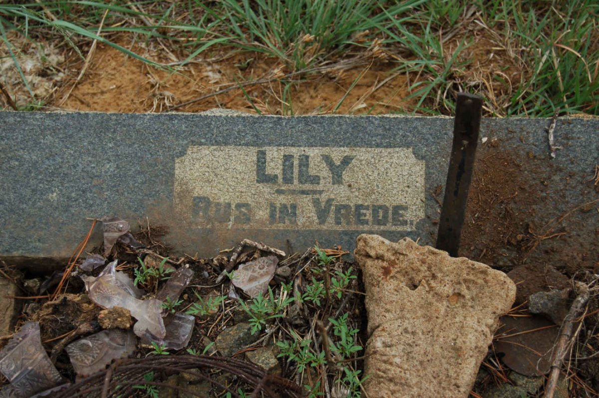 ECK Lily, van