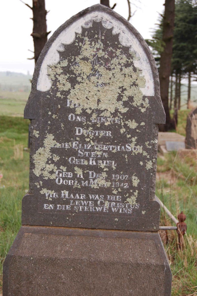 STEYN ?lie Elizabetha S? nee KRIEL 1907-1942