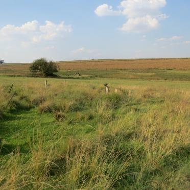 1. Overview