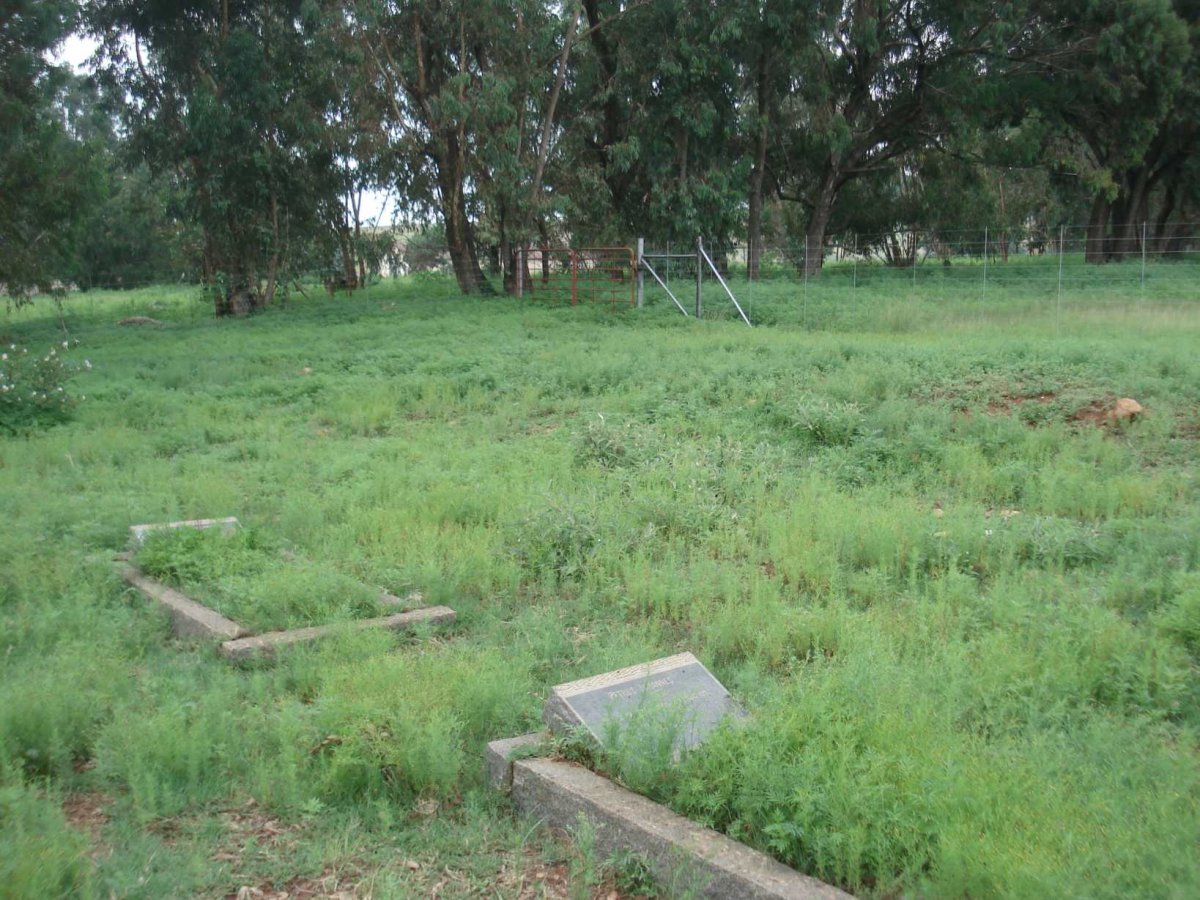 1. Overview