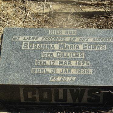 Mpumalanga, BALFOUR district, Weltevreden 449, farm cemetery