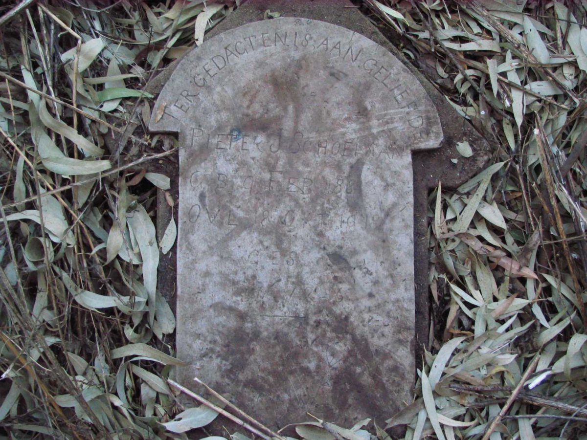 SCHOEMAN Pieter J. 1881-1918