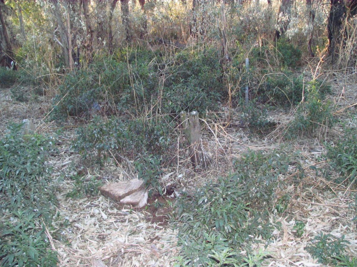 2. Overview