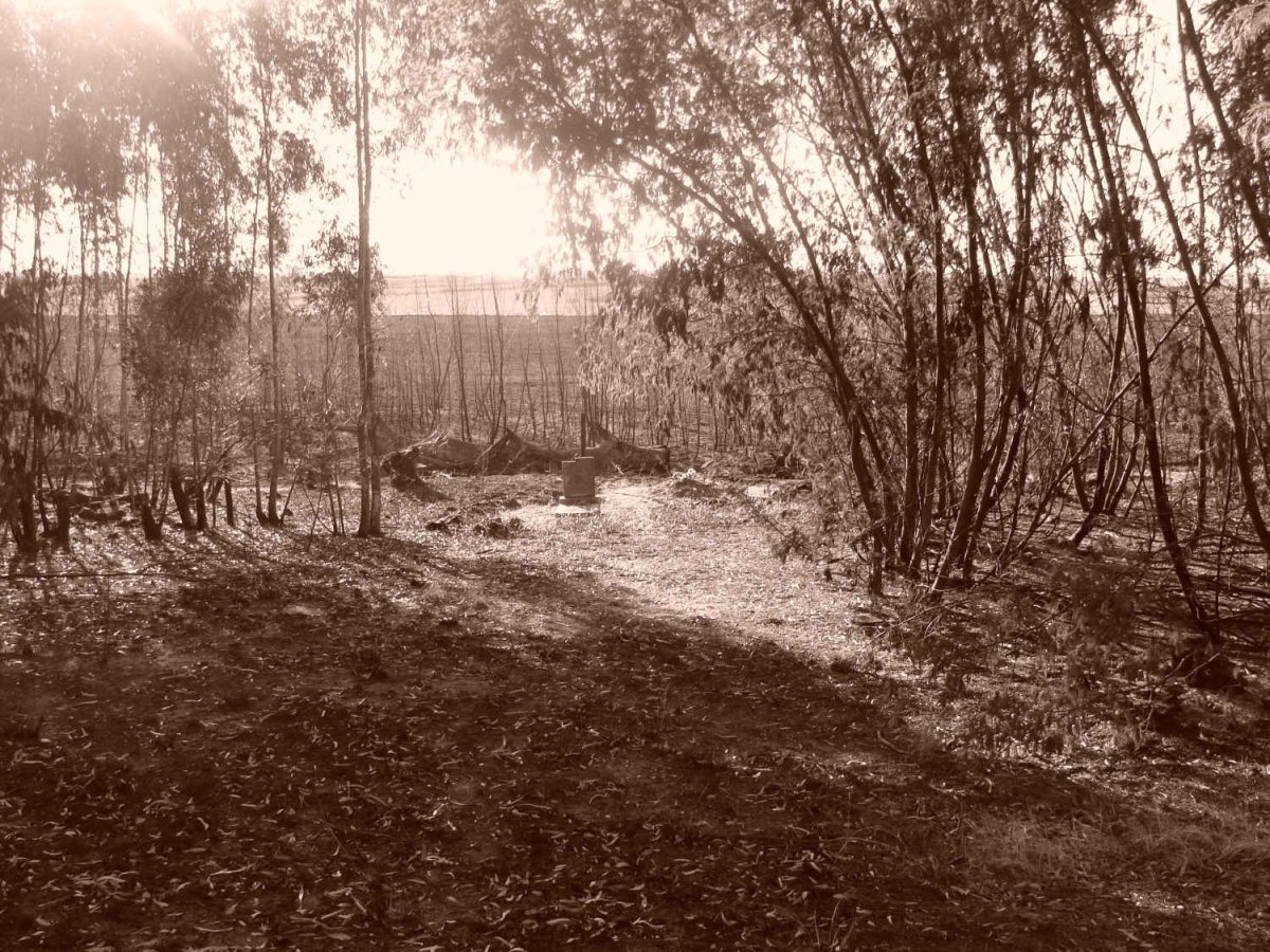 1. Overview