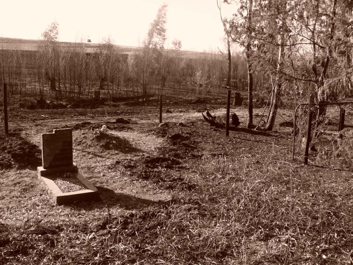 2. Overview