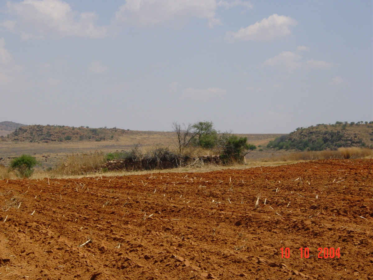 1. Overview