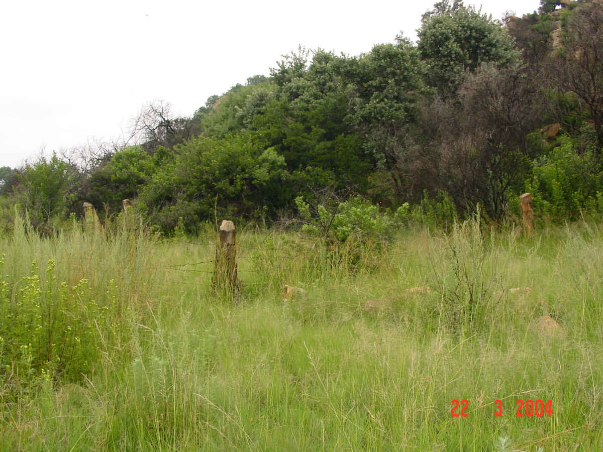 1. Overview