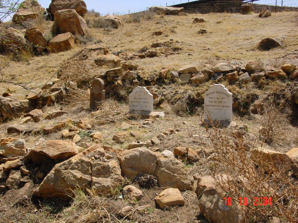 1. Overview