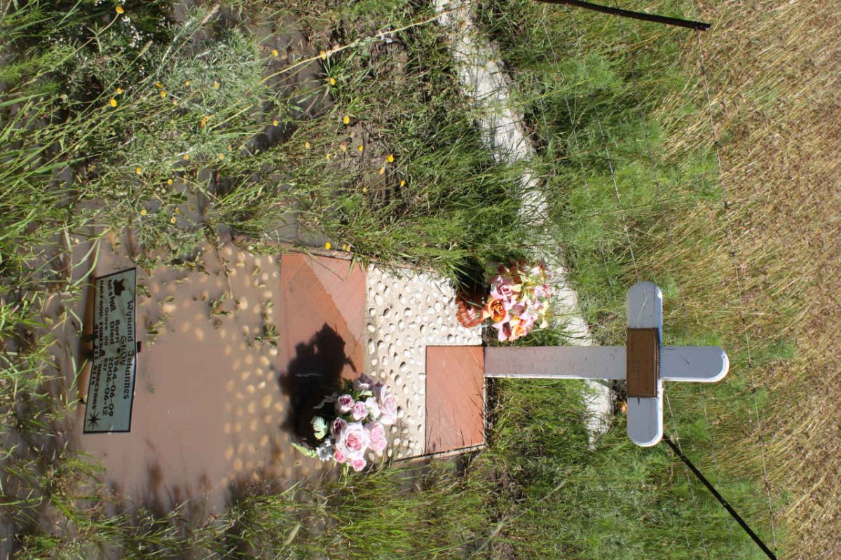 1. Overview