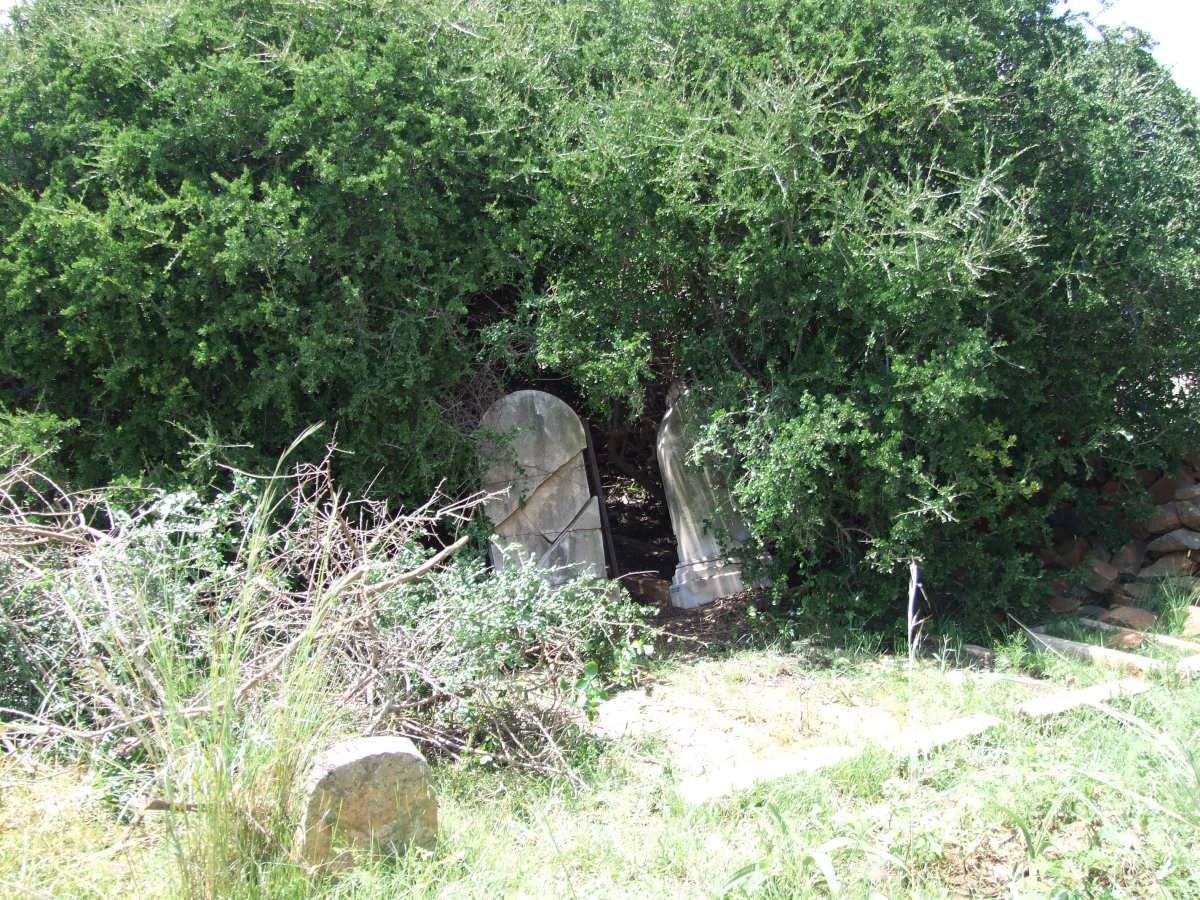3. Overview