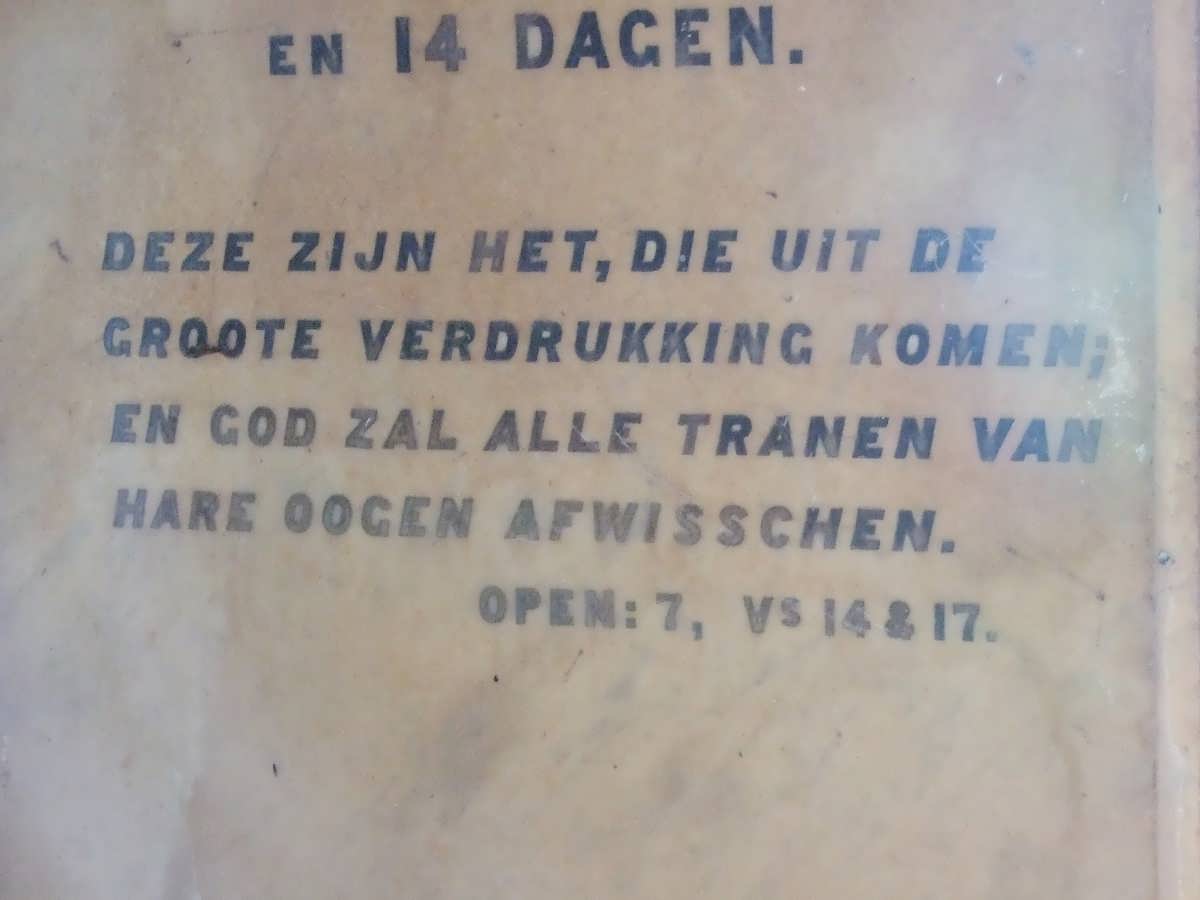 BOSHOFF Aletta Sophia nee KRITZINGER -1893