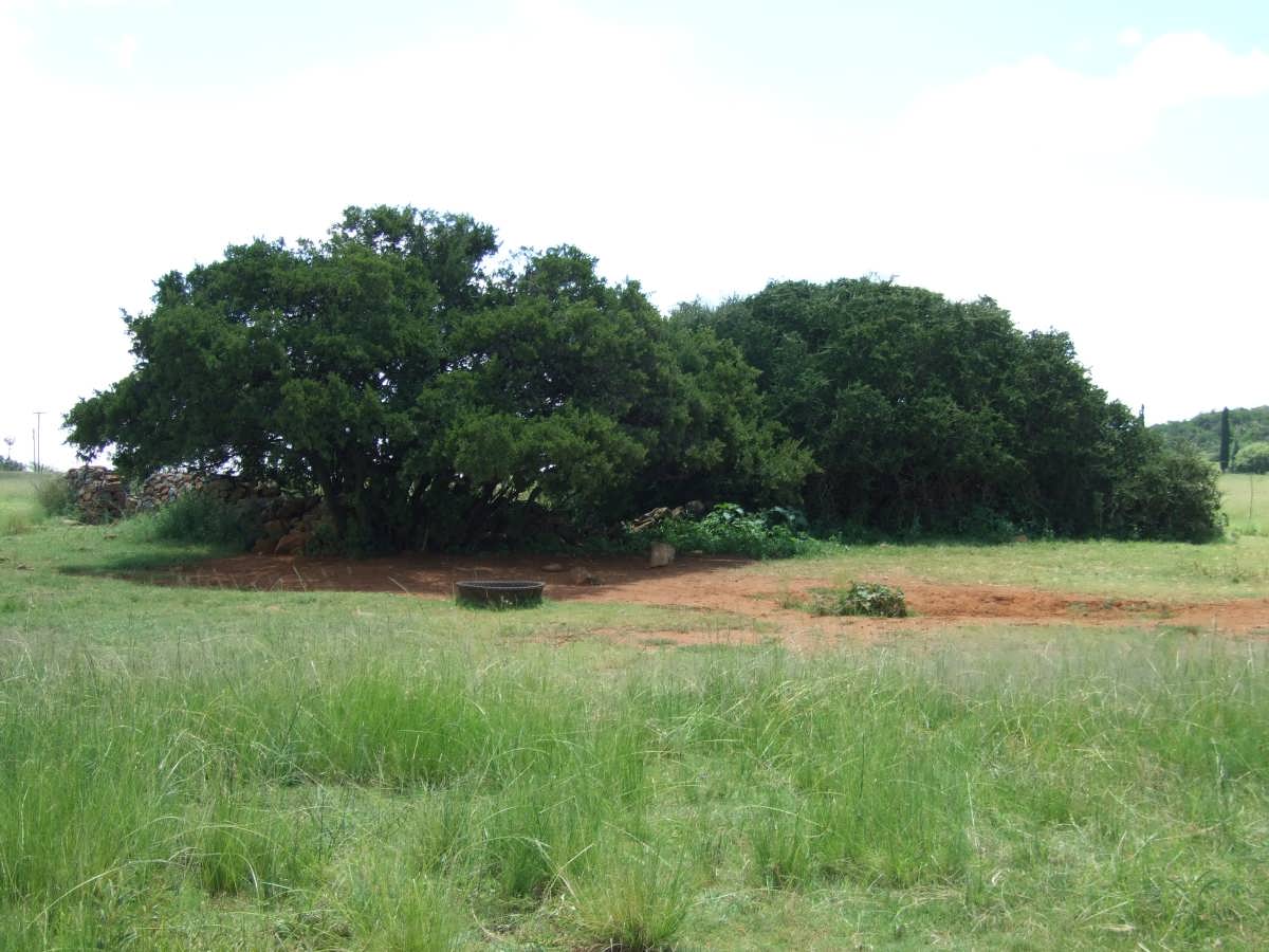 1. Overview of the cemetery area