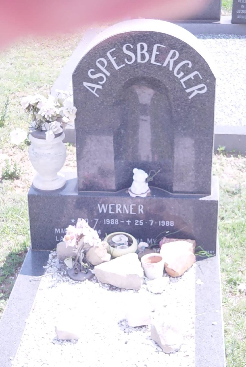 ASPESBERGER Werner 1988-1988