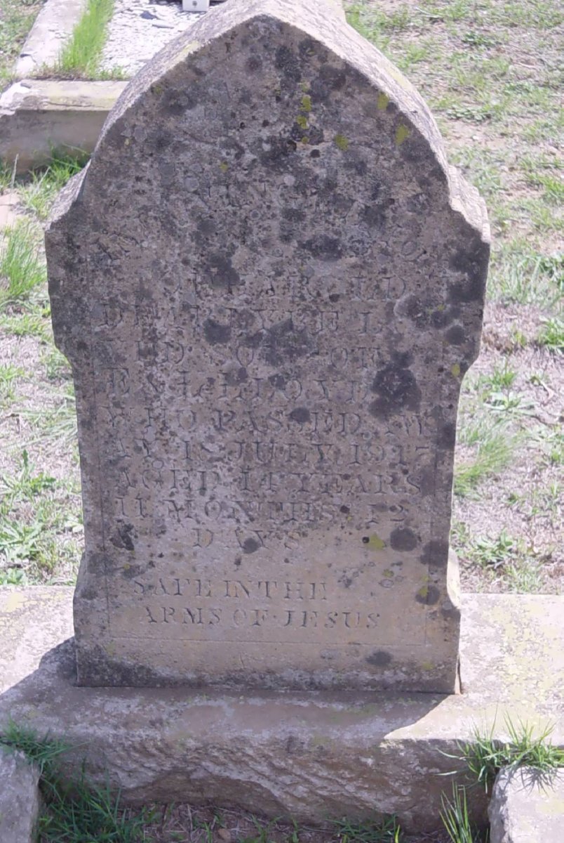 LLOYD Harold -1917