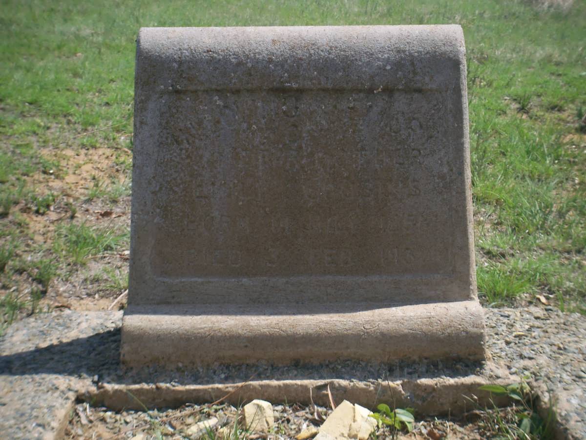 COUSINS Emily 1856-1930