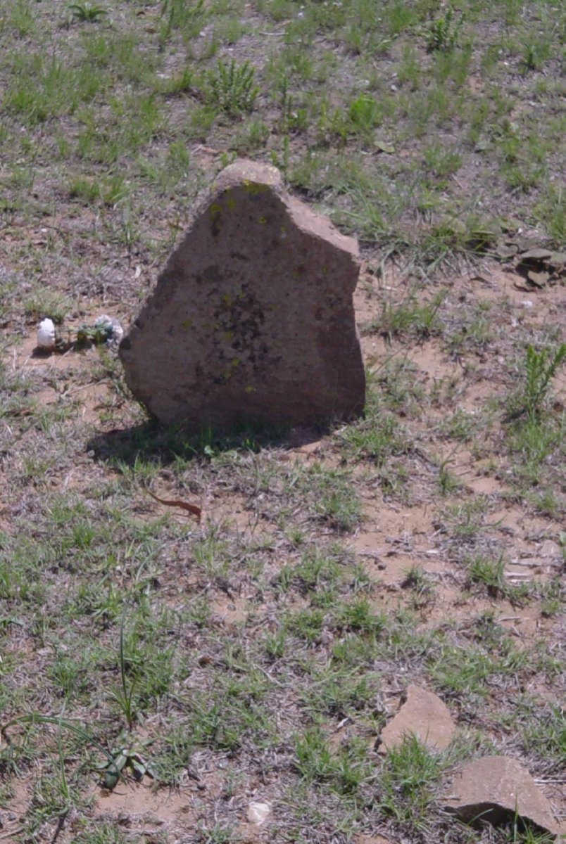 ?