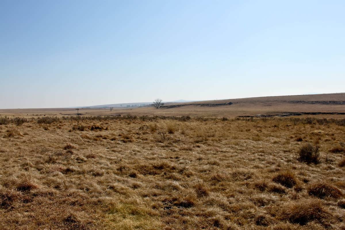 01. Overview