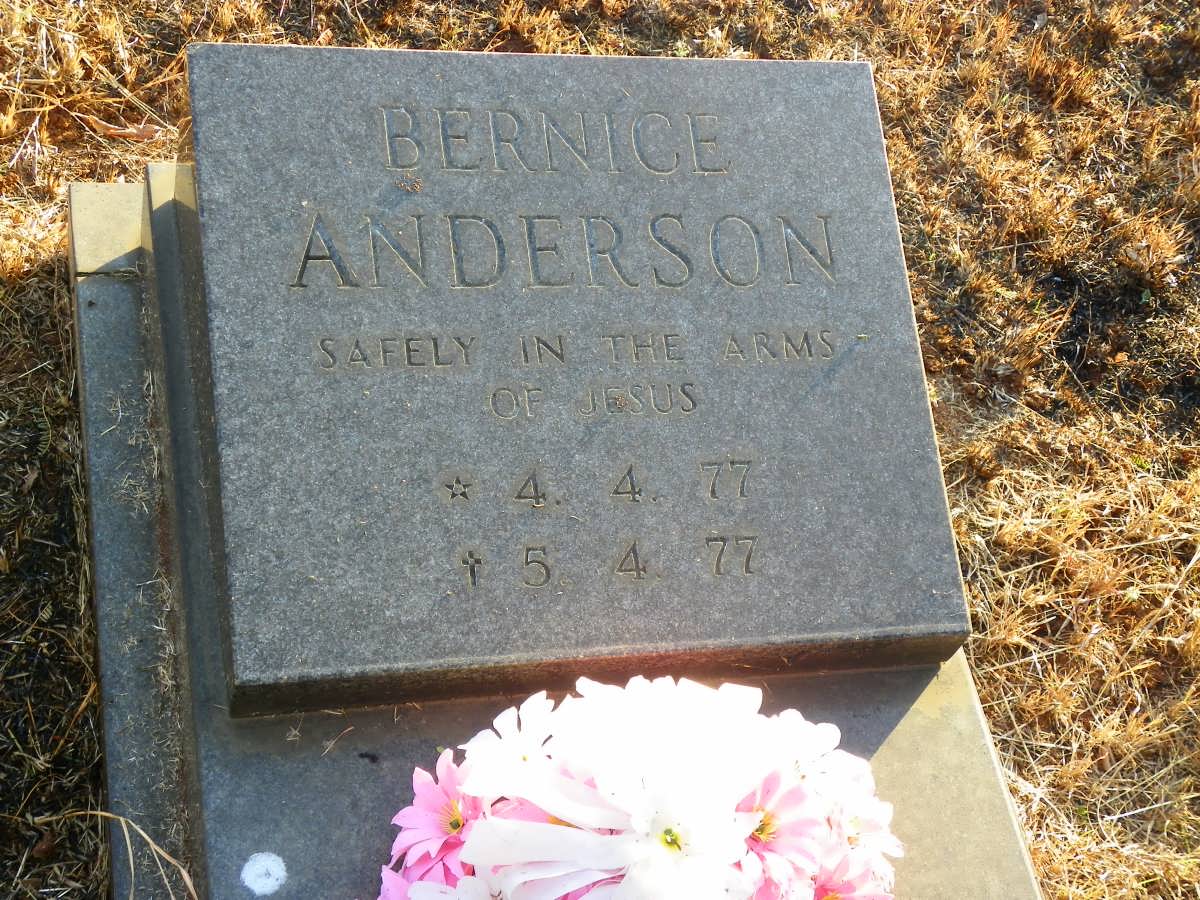 ANDERSON Bernice 1977-1977