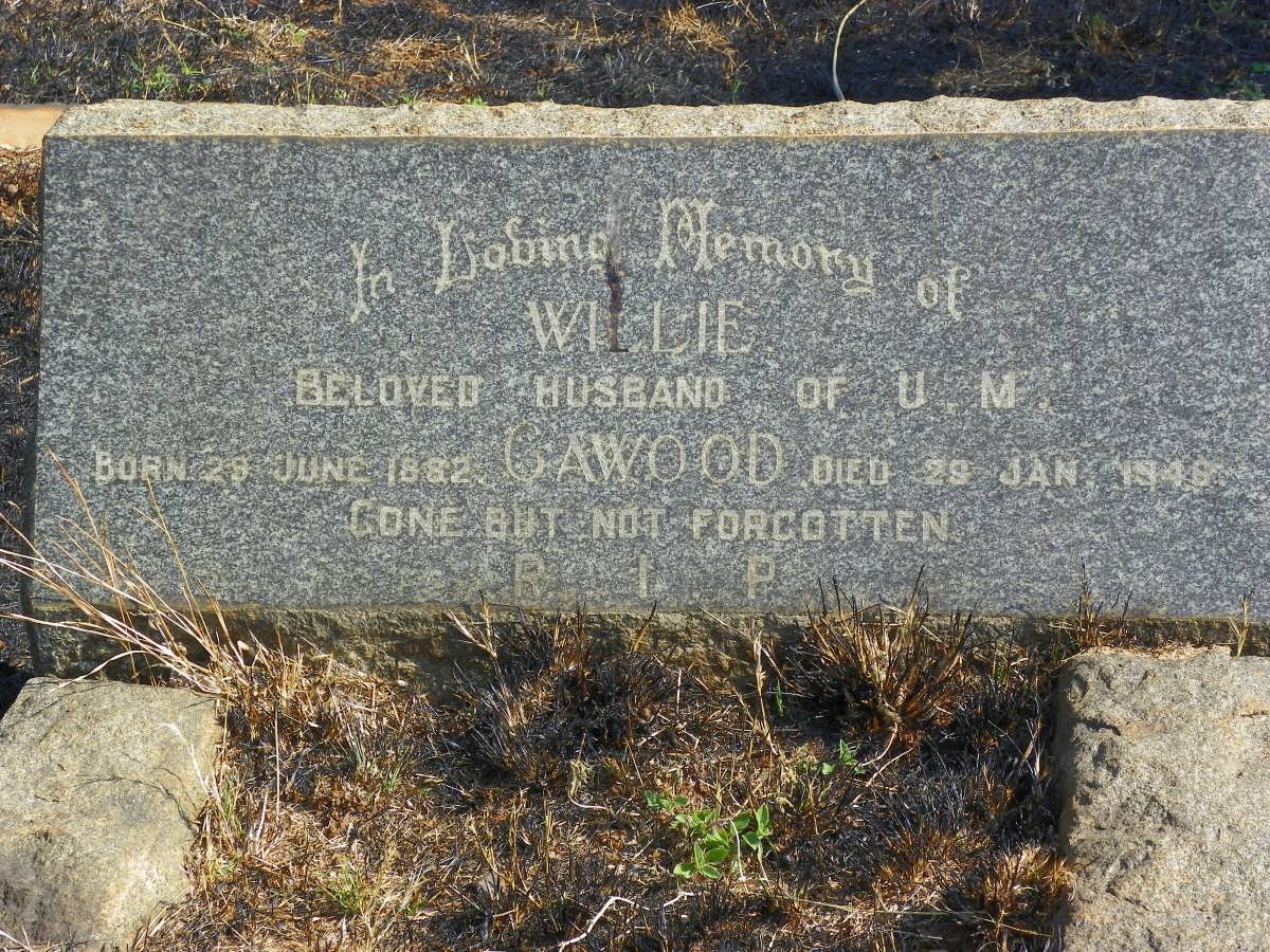 CAWOOD Willie 1882-1946