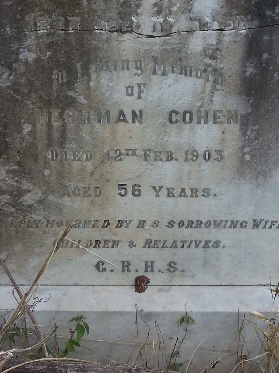 COHEN Herrman -1903