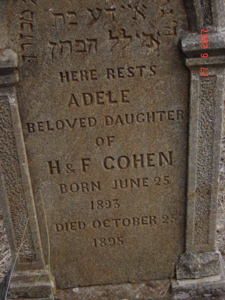 COHEN Adele 1893-1895